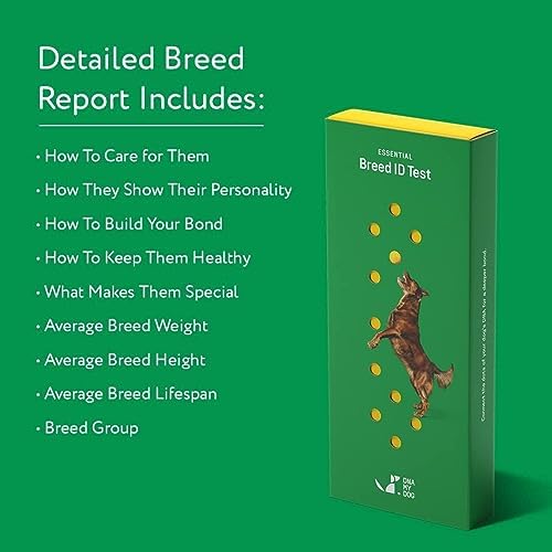 Dna My Dog Essential Test – Breed ID Test Mixed Breed Identification Personality Traits for Puppies to Adult Dogs Non-Invasive Cheek Swab