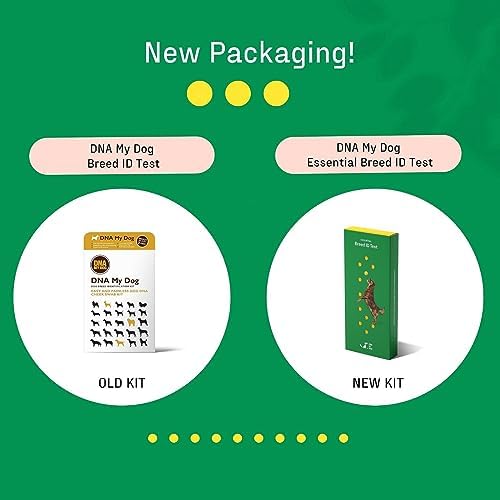 Dna My Dog Essential Test – Breed ID Test Mixed Breed Identification Personality Traits for Puppies to Adult Dogs Non-Invasive Cheek Swab