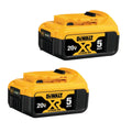 DW 20V Max XR 20V Battery, 5.0-Ah, 2-Pack (DCB205-2)